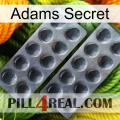 Adams Secret 31